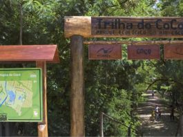 Parque Ecológico do Rio Cocó: Visite a maior área verde de Fortaleza Parque Ecológico do Rio Cocó