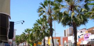 avenida-monsenhor tabosa