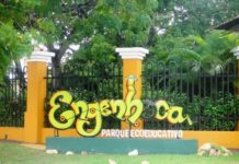 Engenhoca_Parque