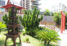 Jardim Japonês: cultura e natureza no único espaço em fortaleza jardim japonês
