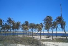 Iguape : 4 Lindas praias para curtir o ano todo iguape