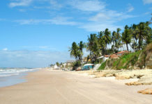 As 5 melhores praias do Ceará para curtir as suas férias praias do ceara