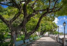 Praça dos Mártires: Um passeio pelos primeiros anos da história de Fortaleza Praça dos Mártires